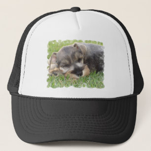 Snoozing Schnauzer Baseball Hat