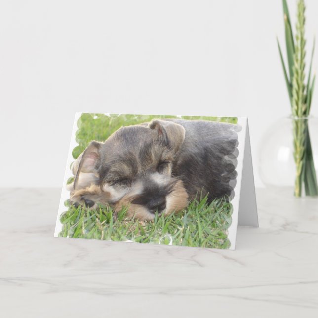 Snoozing Schnauzer Greeting Card (Front)