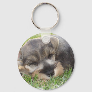 Snoozing Schnauzer Keychain