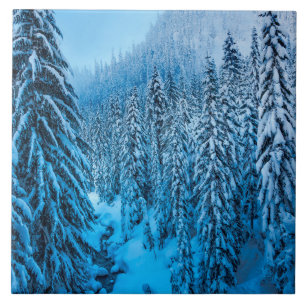 Snoqualmie Pass, Washington State. Ceramic Tile