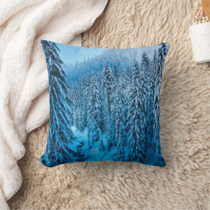 Snoqualmie Pass, Washington State. Cushion