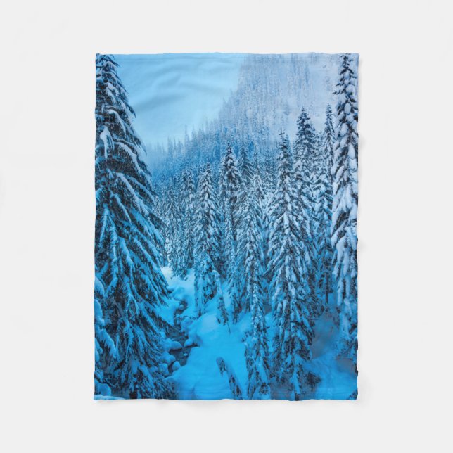 Snoqualmie Pass, Washington State. Fleece Blanket (Front)