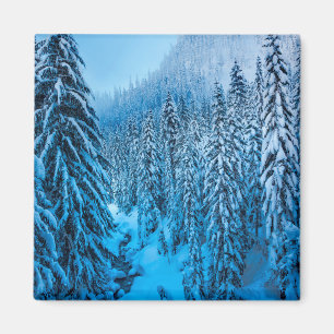 Snoqualmie Pass, Washington State. Magnet