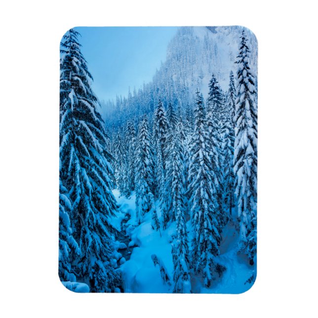 Snoqualmie Pass, Washington State. Magnet (Vertical)