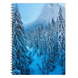 Snoqualmie Pass, Washington State. Notebook
