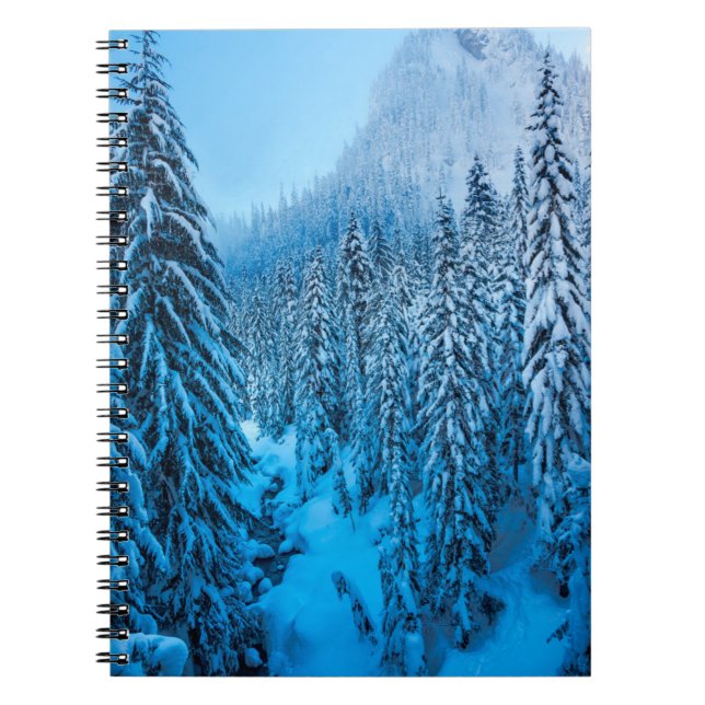Snoqualmie Pass, Washington State. Notebook (Front)