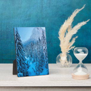 Snoqualmie Pass, Washington State. Plaque