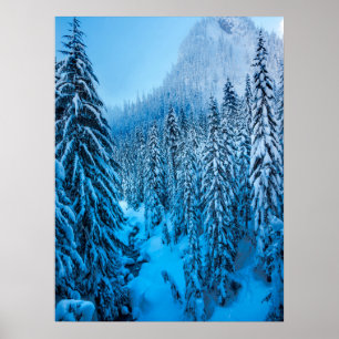 Snoqualmie Pass, Washington State. Poster