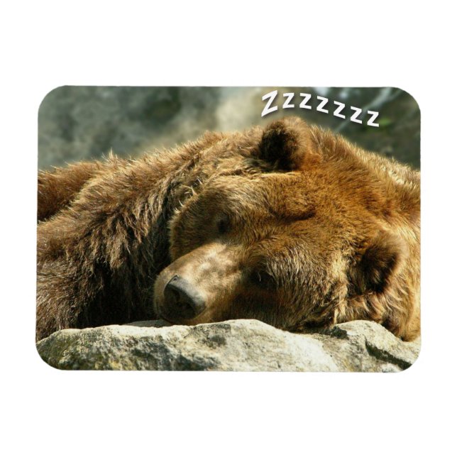 Snoring Bear Magnet (Horizontal)