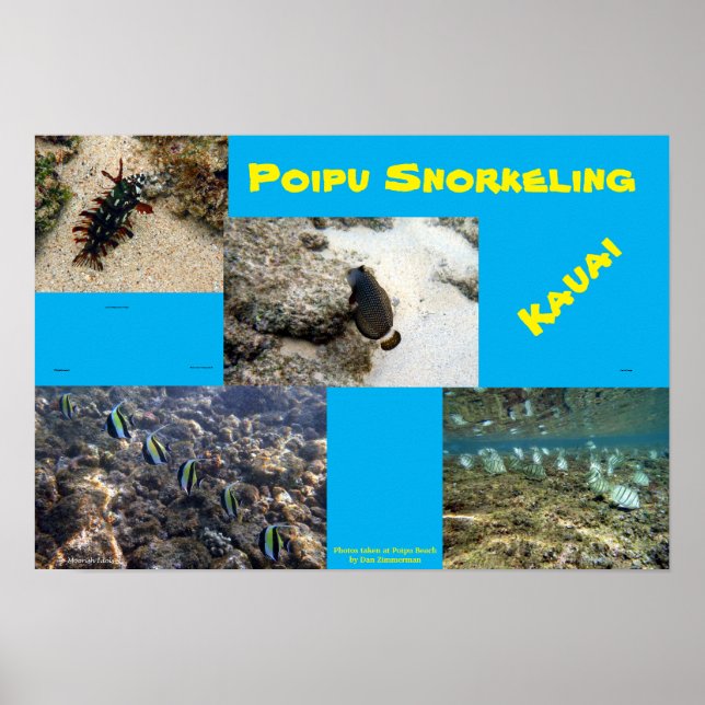 Snorkel Poipu Poster (Front)