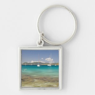 Snorkelers in idyllic Pirates Bight cove, Bight, Key Ring