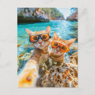 Snorkelling Cats in the Mediterranean Sea Holiday Postcard