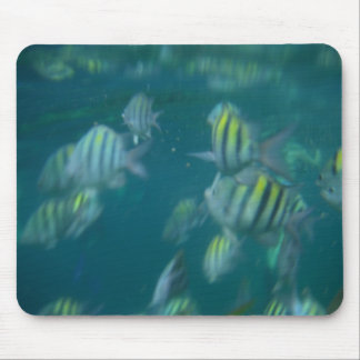 snorkelling mousepad