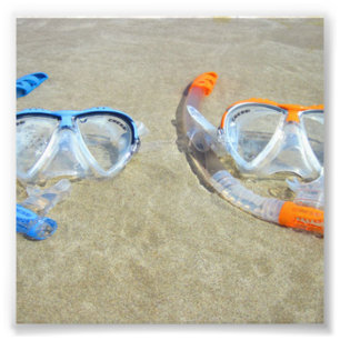 Snorkelling Pair Photo Print