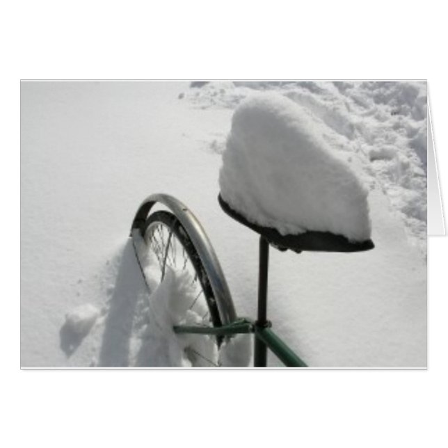 snow 3 (Front Horizontal)