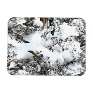 Snow Abstract Magnet