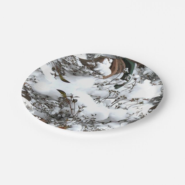 Snow Abstract Paper Plate (Angled)