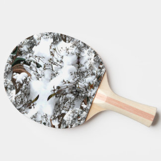 Snow Abstract Ping Pong Paddle