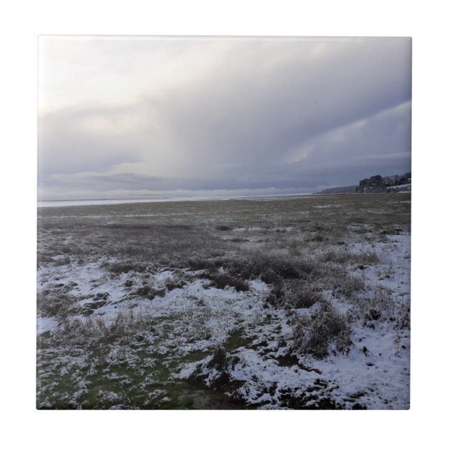 Snow Across The Bay Ceramic Tile (Front)
