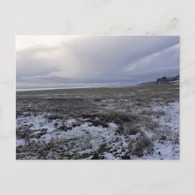 Snow Across The Bay Post Card (Front)