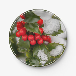 Snow And Holly Paper Plate