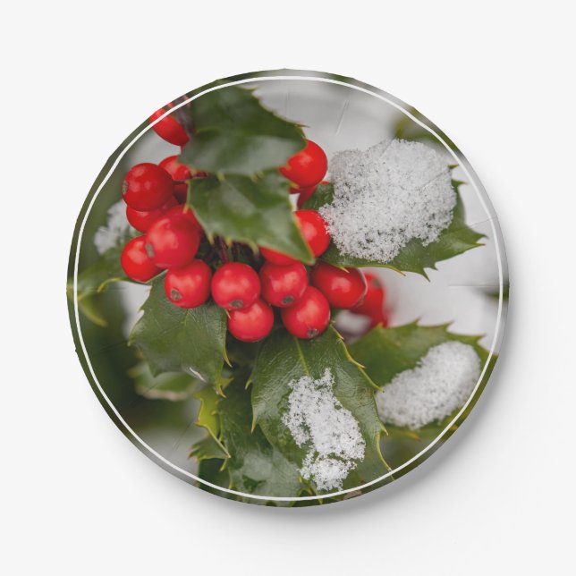 Snow And Holly   Paper Plate (Front)