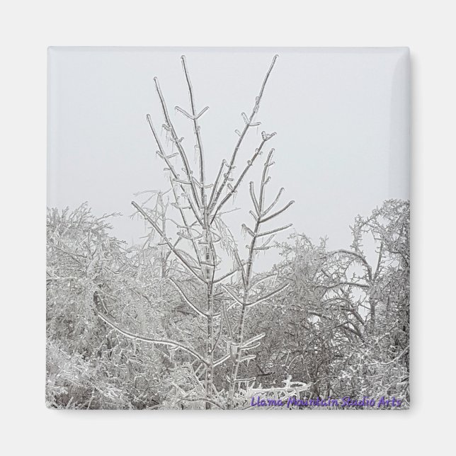 Snow and Ice Covered Trees #1 magnet (Front)