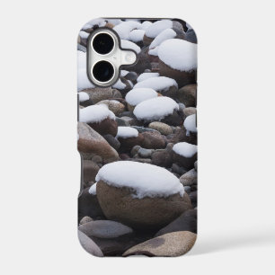 Snow And Rocks, Mt. Rainier National Park