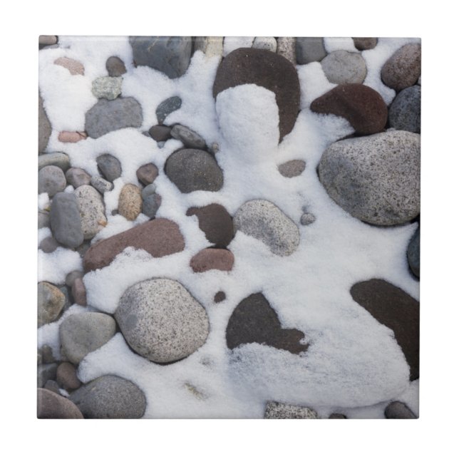 Snow And Rocks, Mt. Rainier National Park 2 Tile (Front)