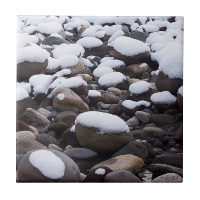 Snow And Rocks, Mt. Rainier National Park Tile (Front)