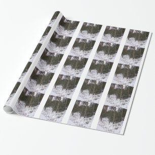 Snow and trees on gift wrap by bbillips