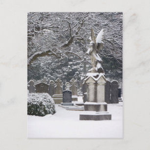 Snow Angel Postcard