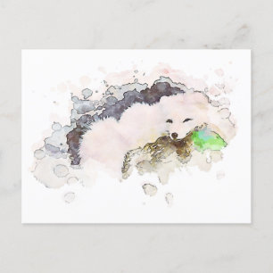 *~* Snow Arctic White Polar Fox Ap18 Wildlife Postcard