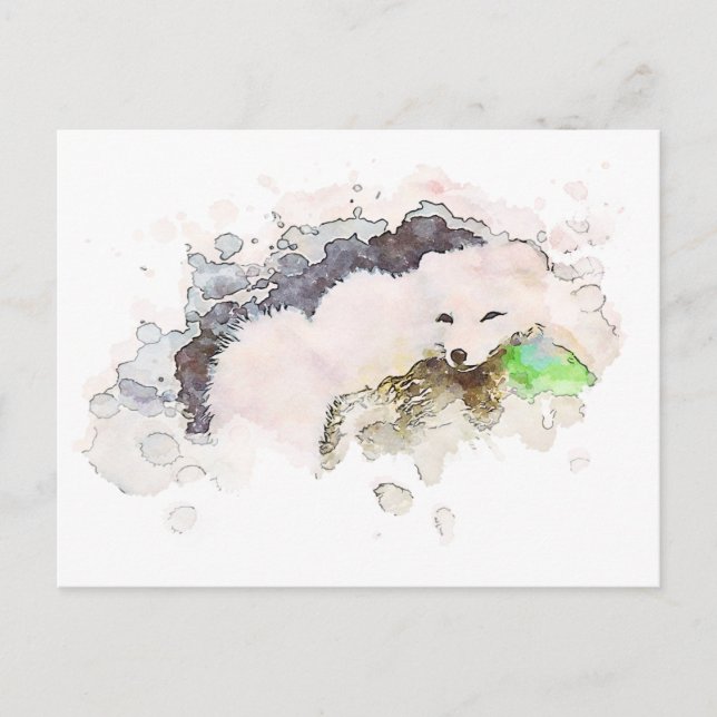 *~* Snow Arctic White Polar Fox Ap18 Wildlife Postcard (Front)