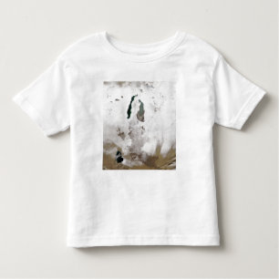 Snow around the Aral Sea Toddler T-Shirt