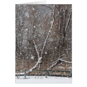 Snow At the Park