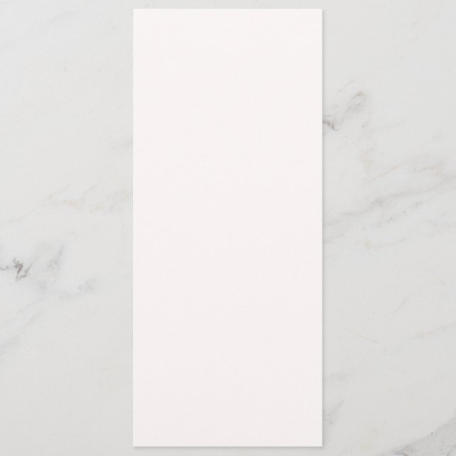 Snow Background Program (Front)