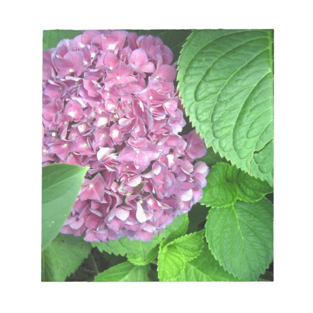 Snow Ball Notepad (Front)