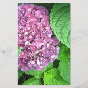 Snow Ball Stationery