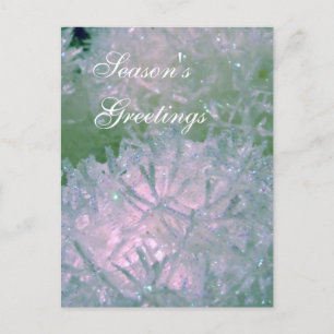 Snow balls postcard