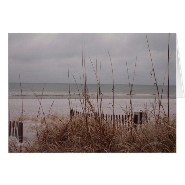 Snow Beach (Front Horizontal)