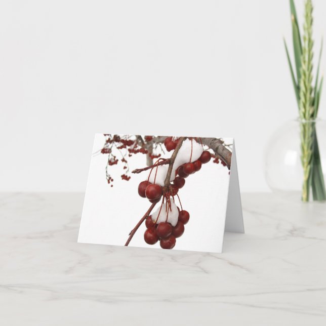 Snow Berry Card (Front)
