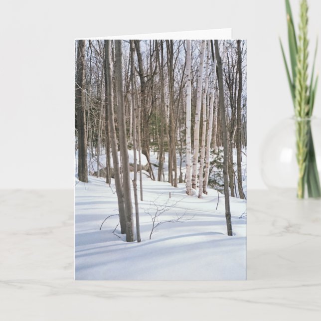 Snow Birches Holiday Card (Front)