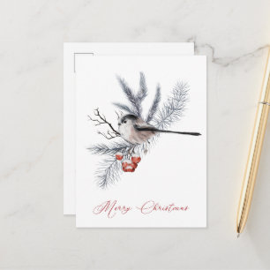 Snow Bird, Pine, Red Berries Christmas Holiday Postcard