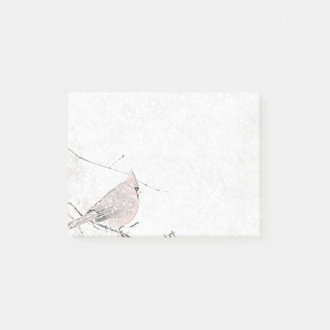 Snow Bird Post-it Notes (Front)