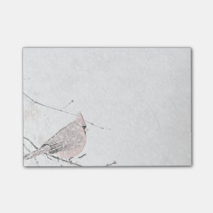 Snow Bird Post-it Notes