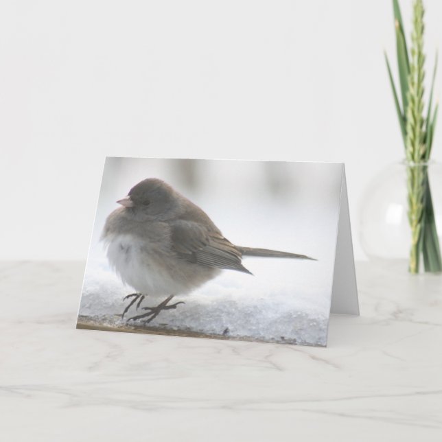 Snow bird standing in snow card (Front)