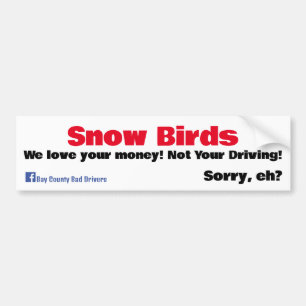Snow Birds - We Love your Money Bumper Sticker
