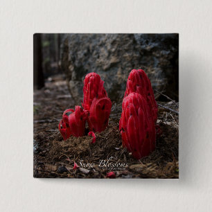 Snow Blossoms 15 Cm Square Badge