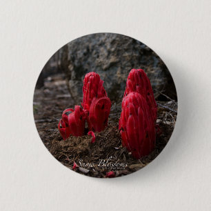 Snow Blossoms 6 Cm Round Badge